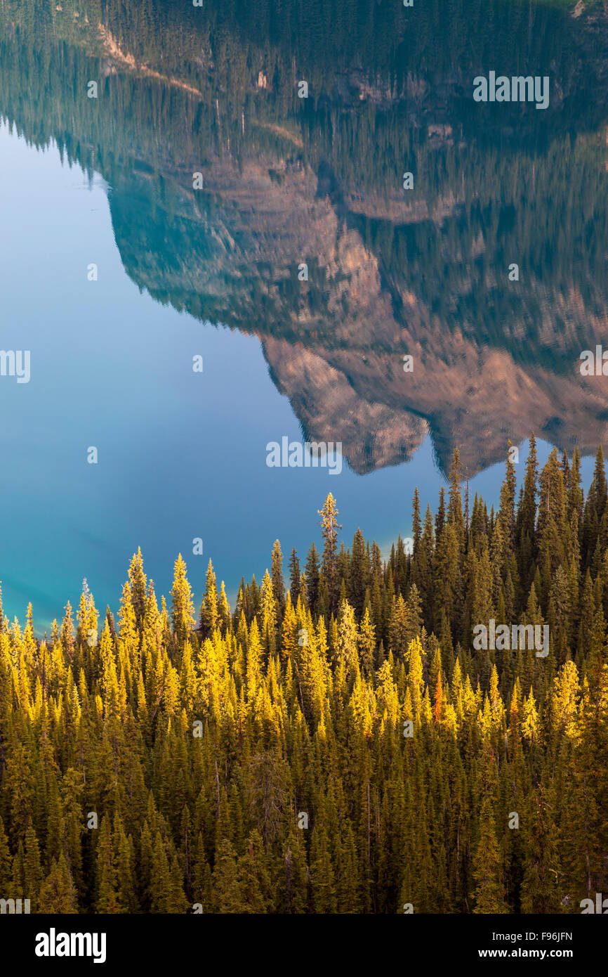 Wiwaxy Peaks reflected in the calm waters of Lake O'Hara in Yoho National Park, British Columbia, Canada. Stock Photo