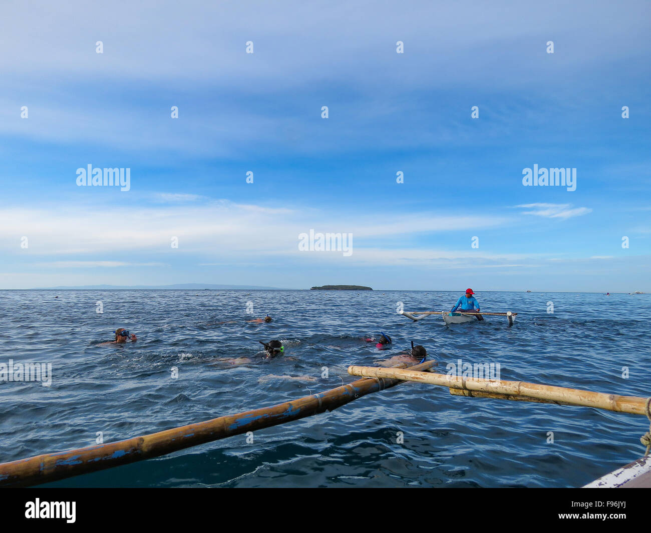 Whale sharks, Philippines Stock Photo - Alamy