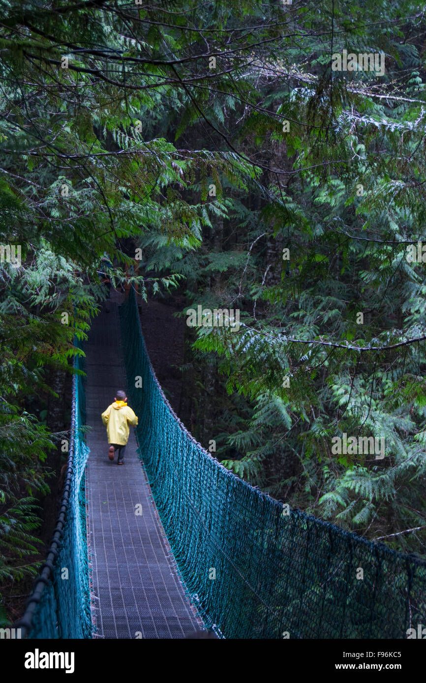 Suspension bridge and hikers Juan de Fuca trail near China Beach, near
