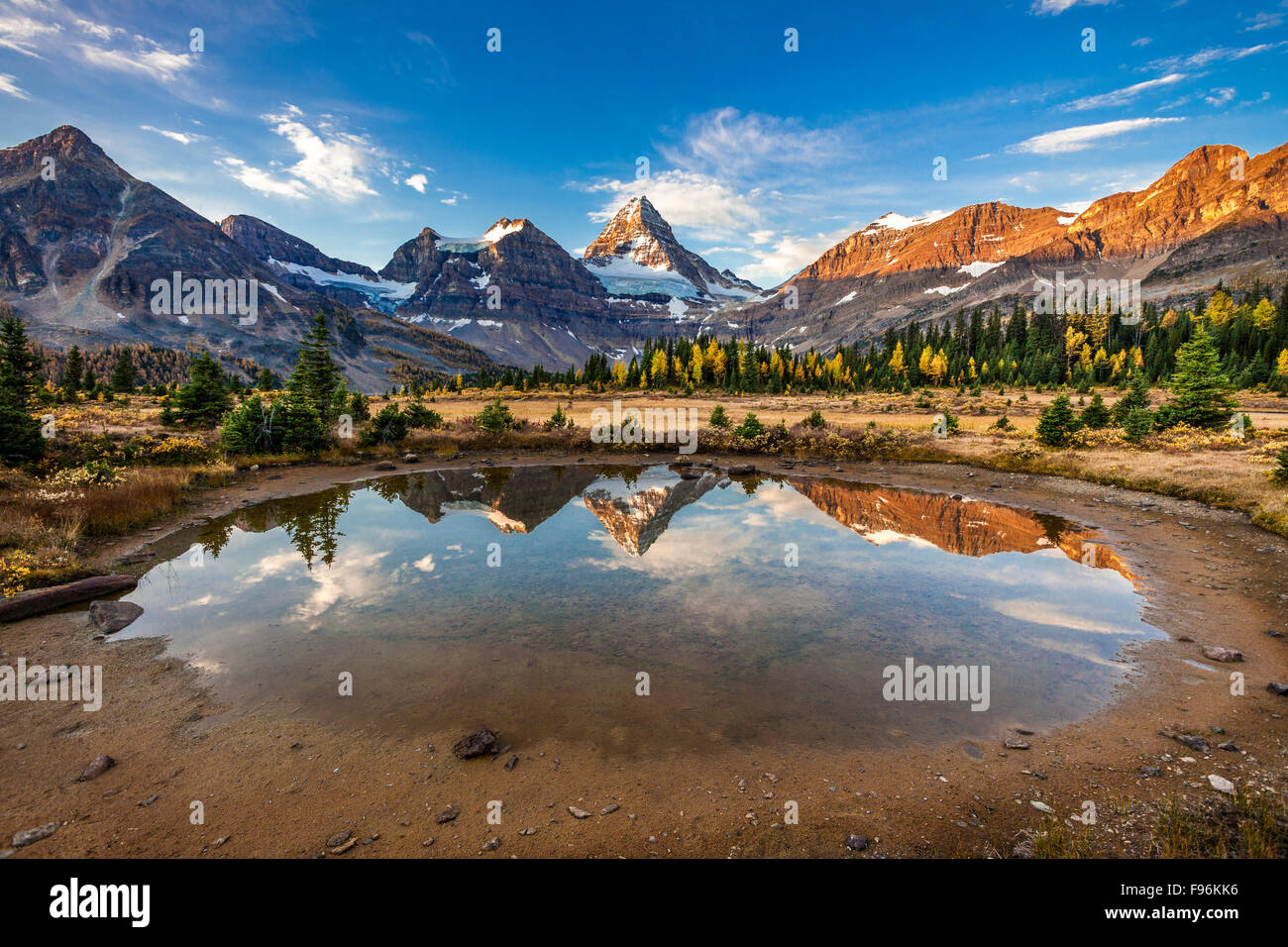 Reflection of Mt Assiniboine in a pond, Mt Assiniboine Park, Canadian Rockies Stock Photo Alamy