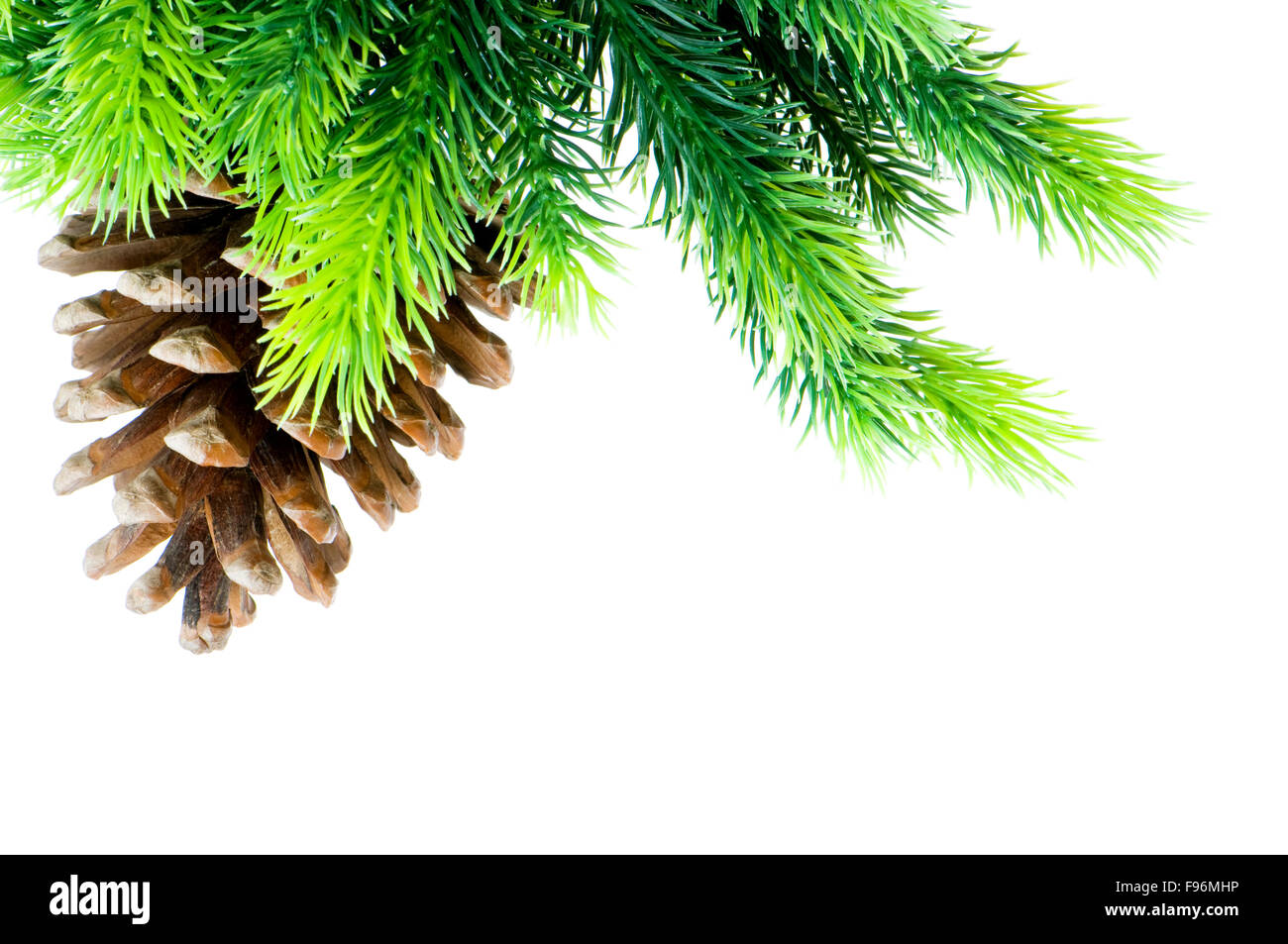 Cone and christmas tree isolated on white Stock Photo - Alamy