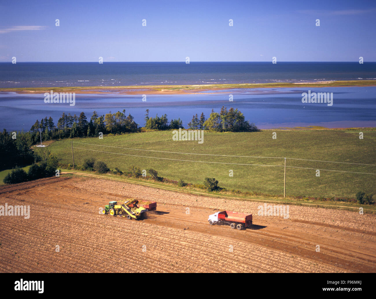 potato harvesting, Gascoigne Cove, Prince Edward Island, Canada Stock