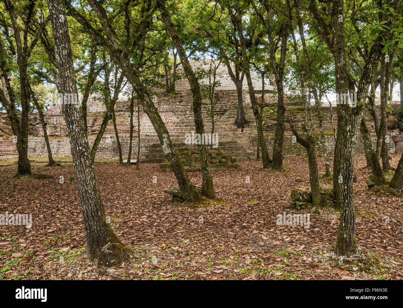 Estructura maya hi-res stock photography and images - Alamy