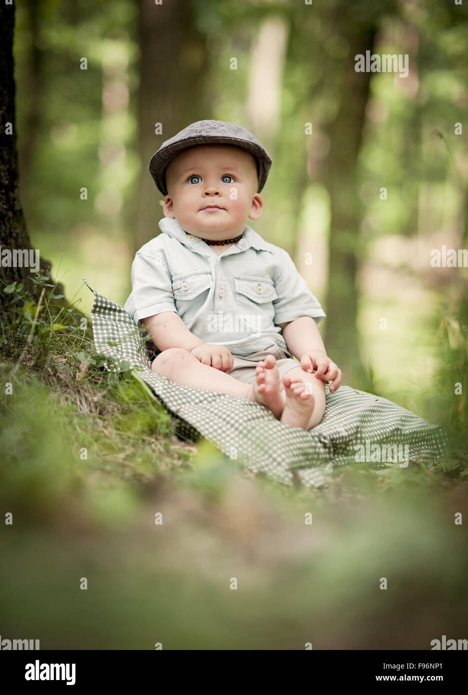 Portrait of cute smiling baby boy sitting in the forest Stock Photo - Alamy