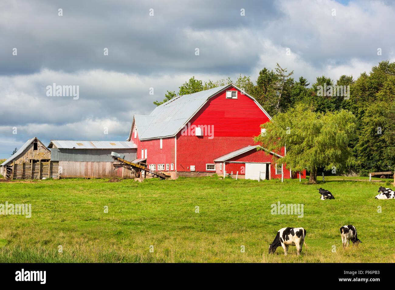 Wooden barn, Miscouche, Prince Edward Island, Canada Stock Photo Alamy