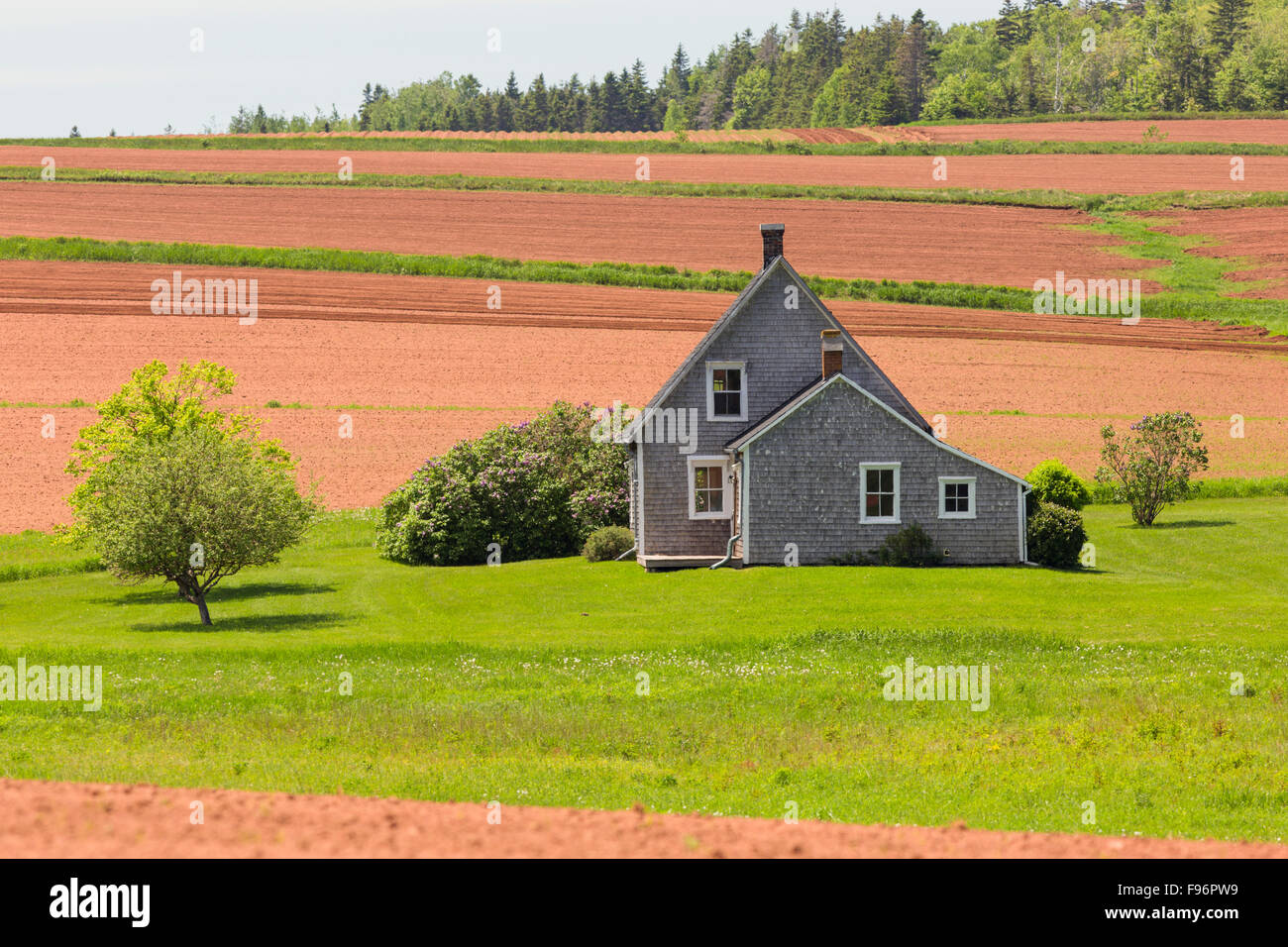 Ploughed field and farmhouse in spring, Long River, Prince Edward