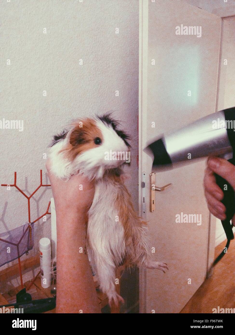 Dryer door hi-res stock photography and images - Alamy