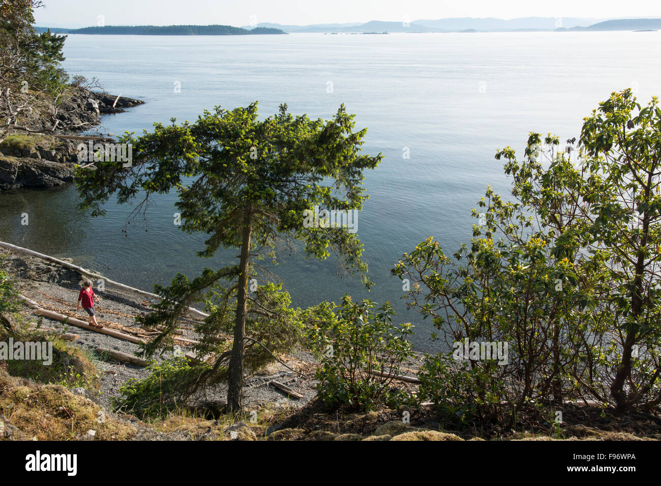 Woman balances acrosss log on island beach, Gulf Islands, British Columbia, Canada Stock Photo