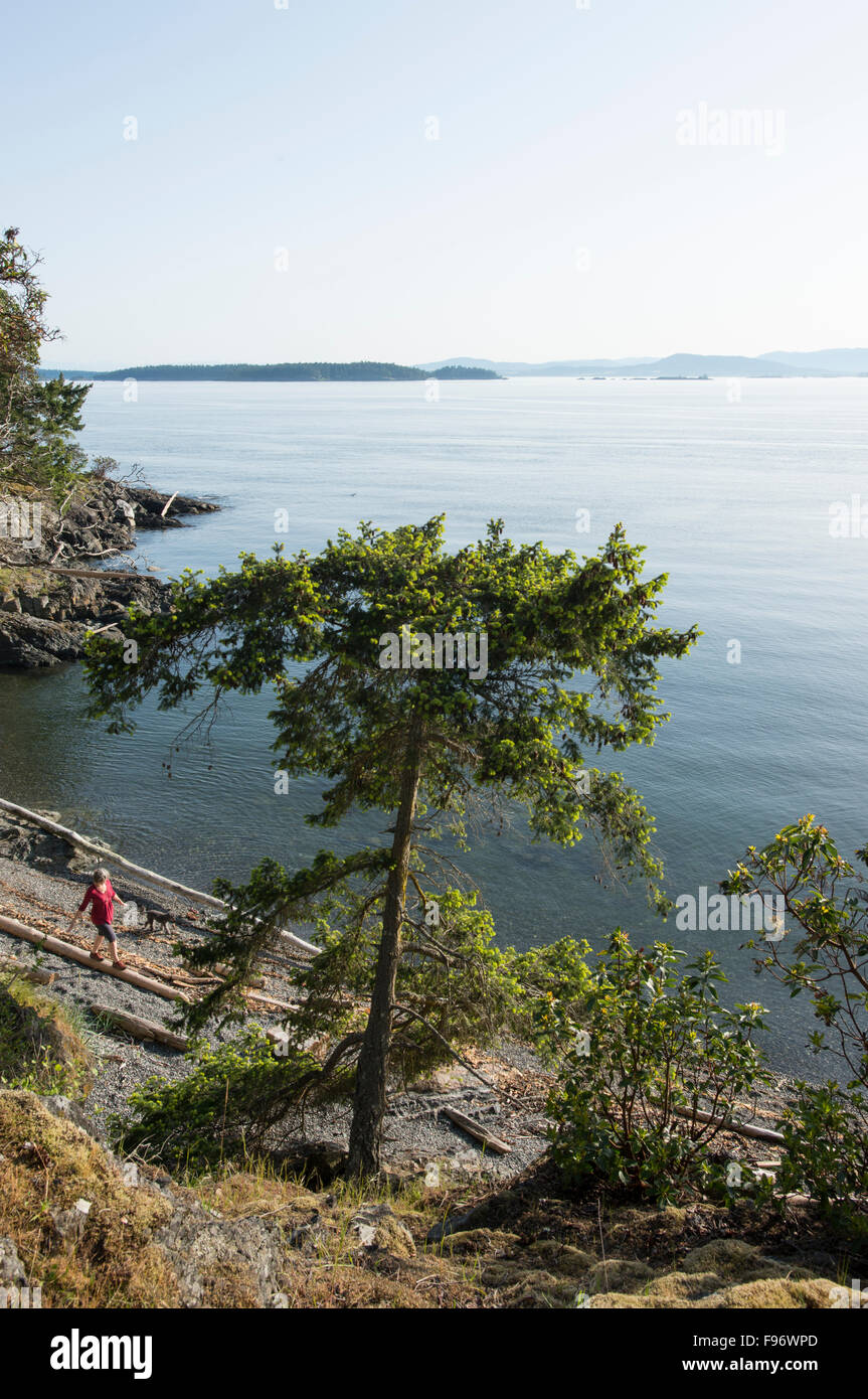 Woman balances acrosss log on island beach, Gulf Islands, British Columbia, Canada Stock Photo