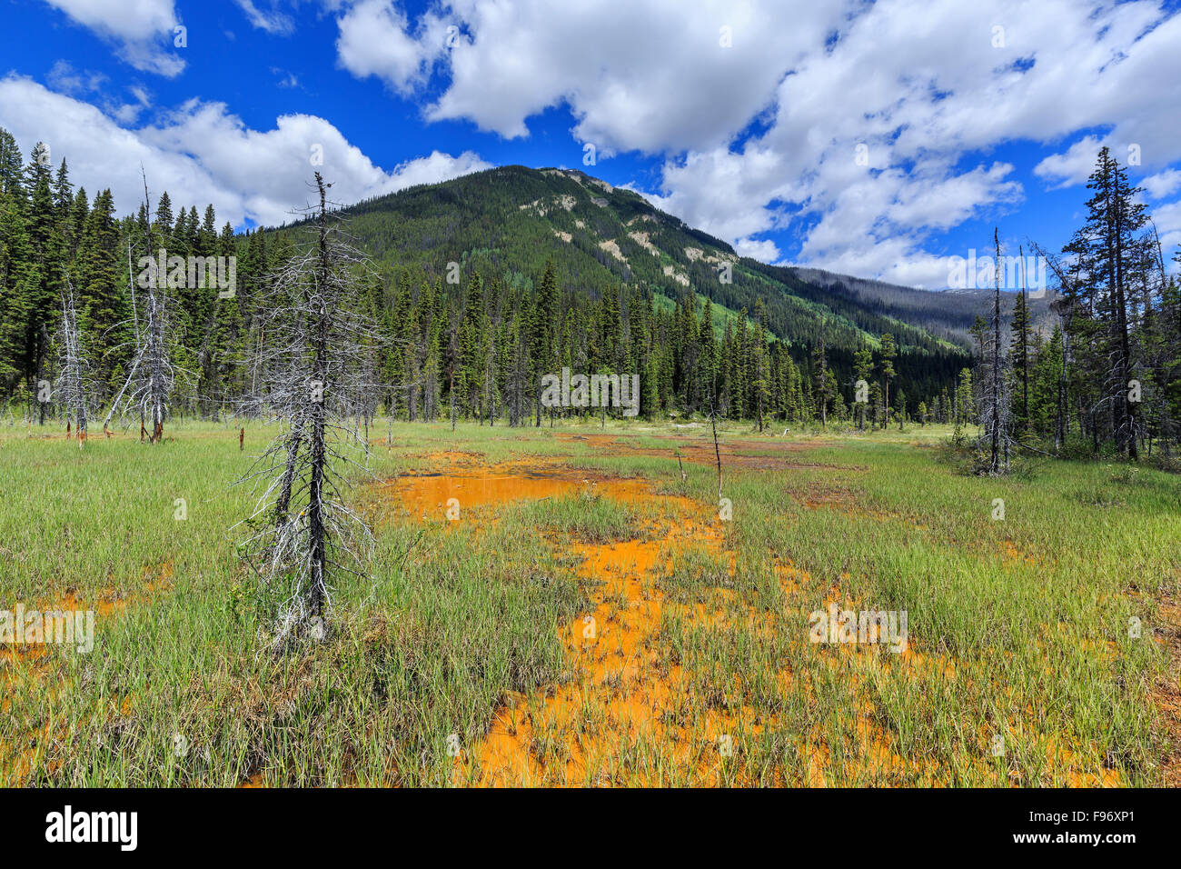 Ochre colored Paint Pots, Kootenay National Park, British Columbia