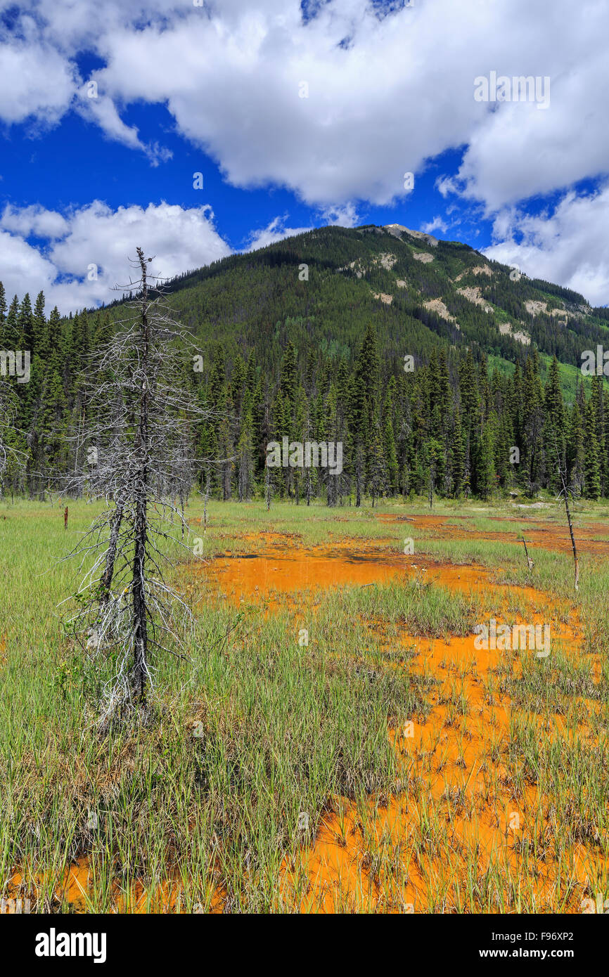 Ochre colored Paint Pots, Kootenay National Park, British Columbia