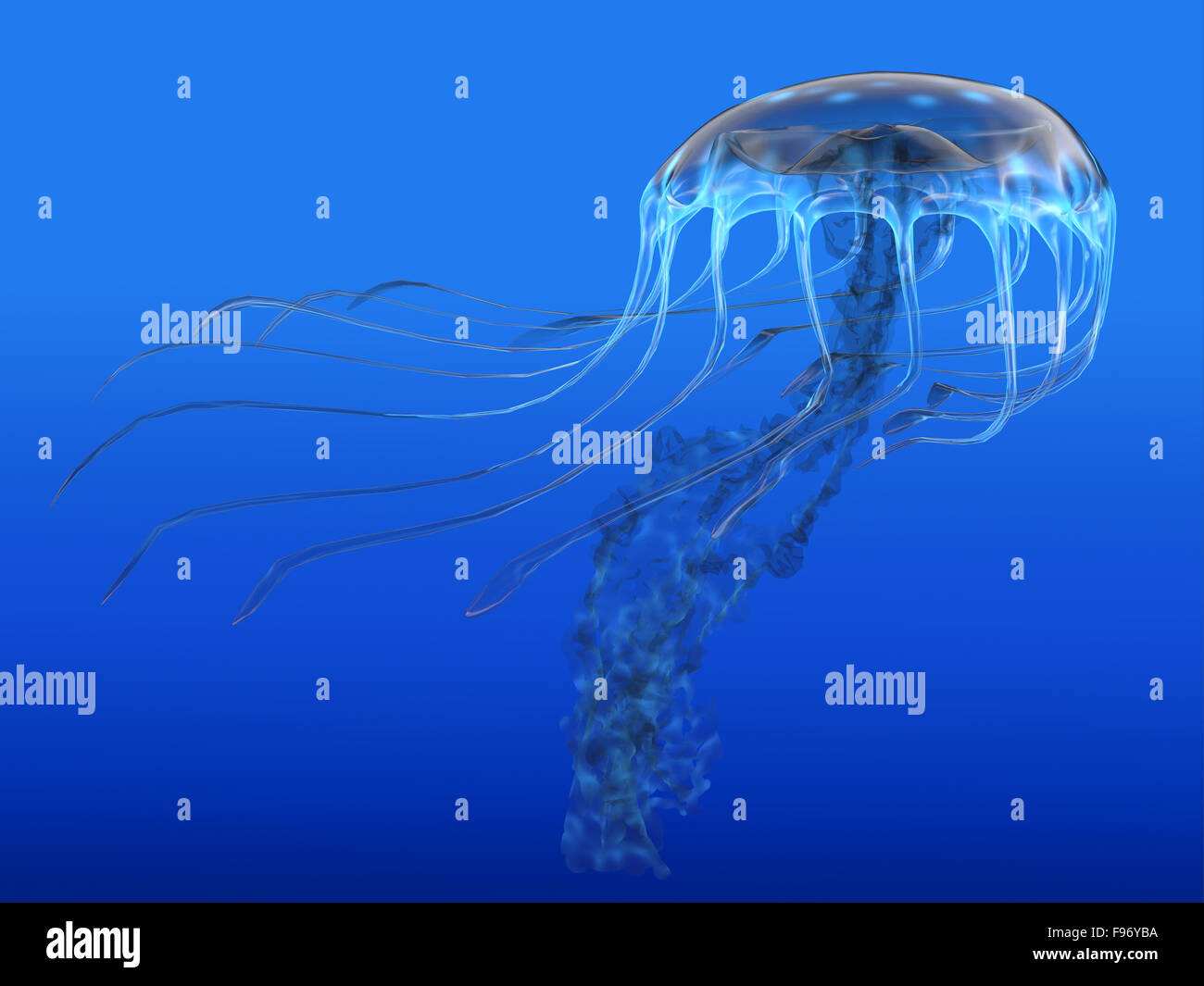 The jellyfish is a predator of the oceans and feeds on small fish and