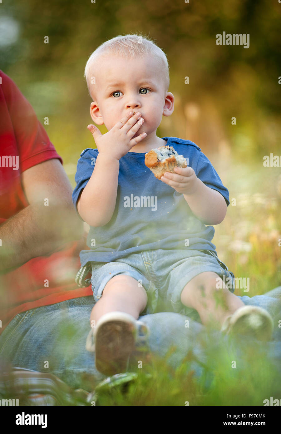 Meadow muffins hi-res stock photography and images - Alamy