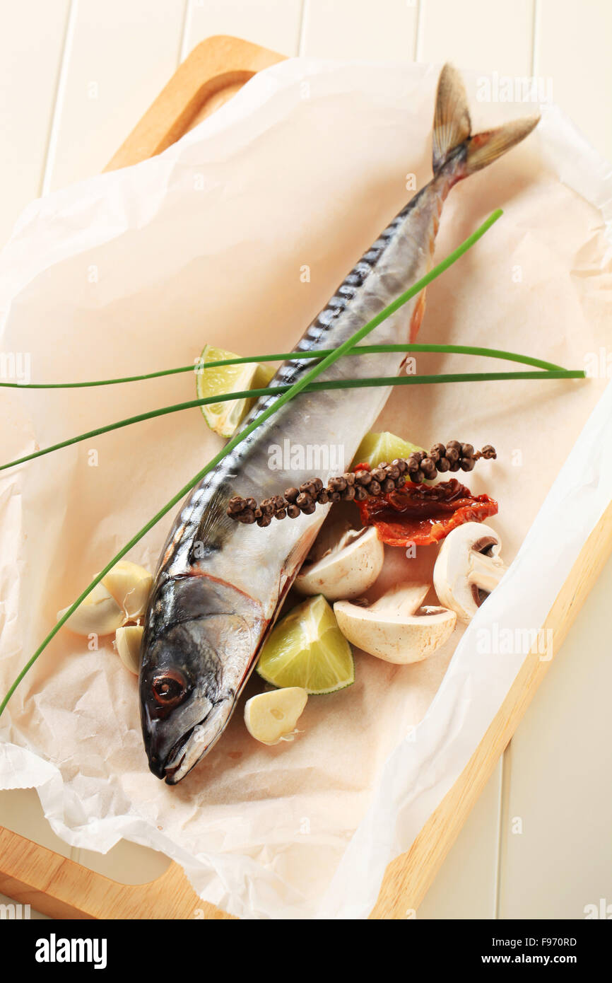 Raw mackerel and other ingredients on parchment paper Stock Photo