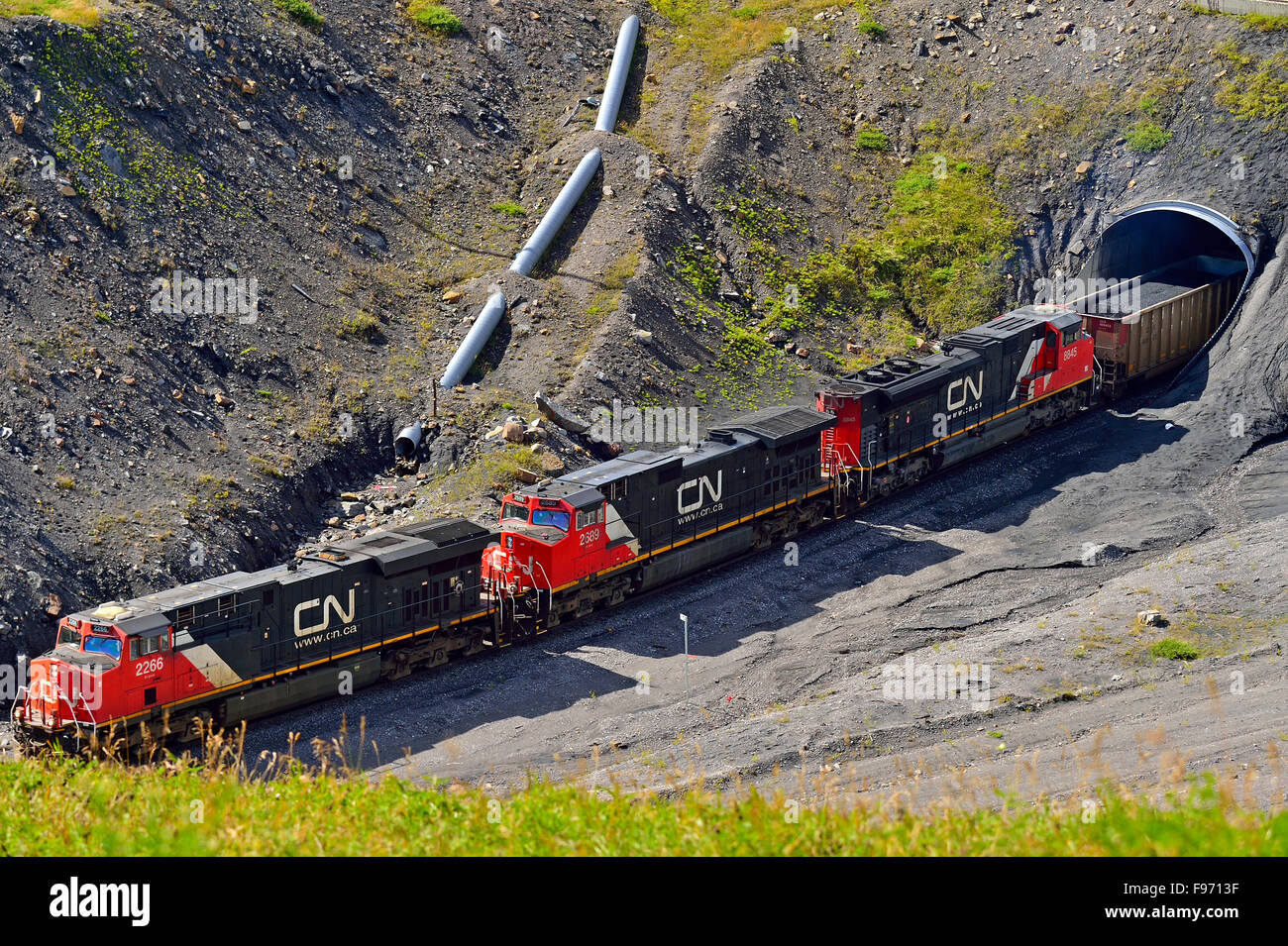 A Canadian National freight train hauling a load of coal cars through a