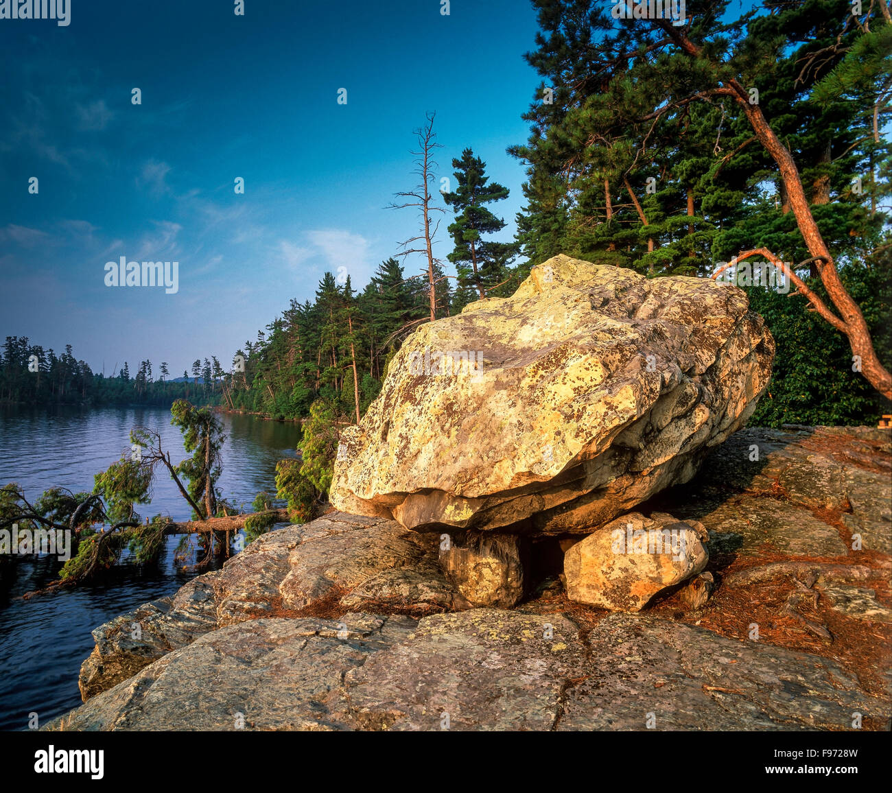 Rocks and a downed tree on Lake Temagami, Ontario, Canada Stock Photo