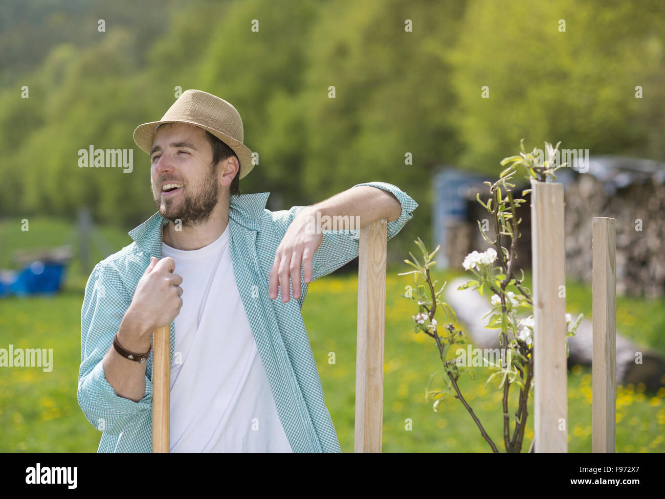 Young male gardener looking after trees in his backyard garden Stock Photo Alamy