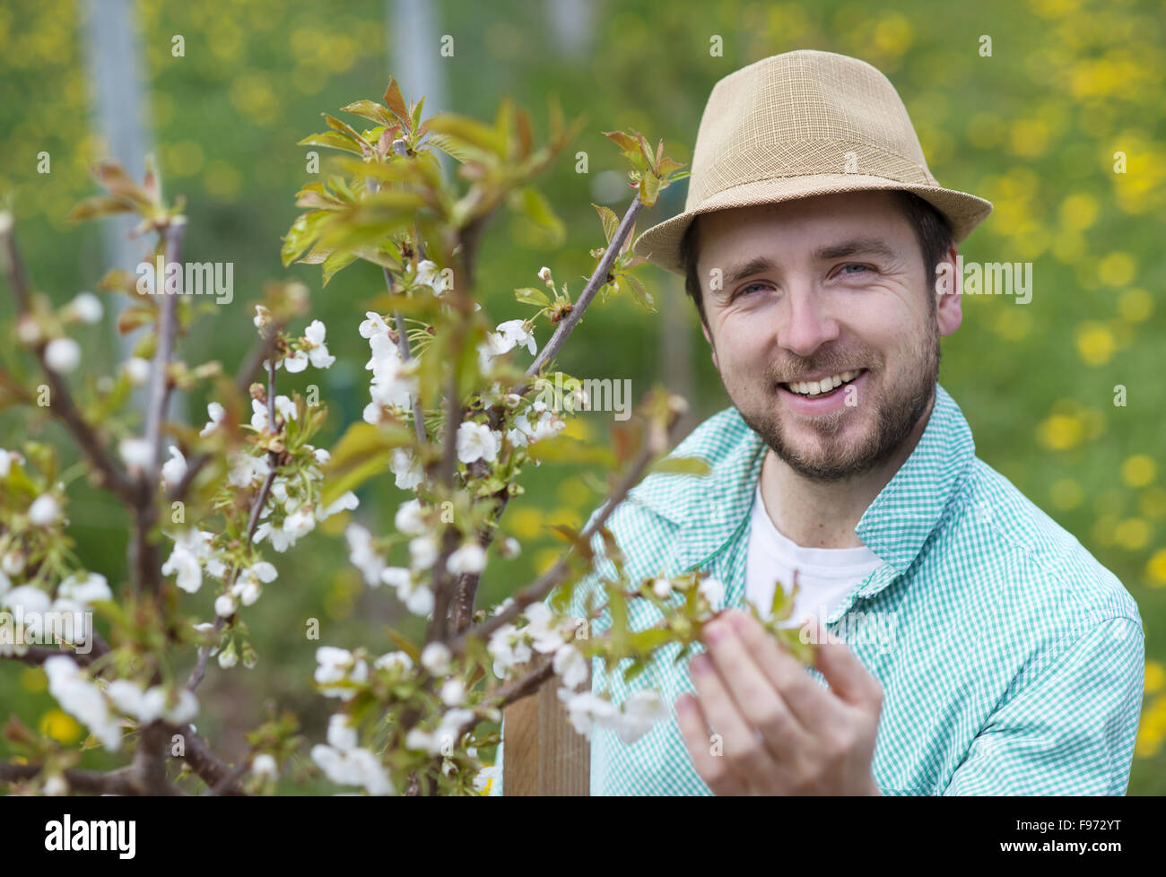 Young male gardener looking after trees in his backyard garden Stock Photo Alamy