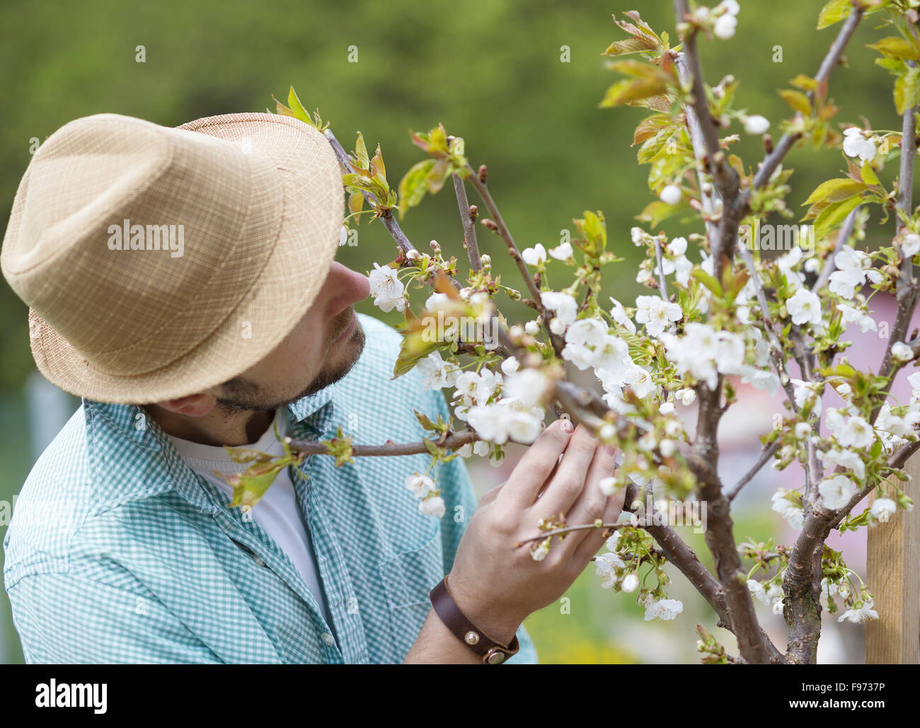 Young male gardener looking after trees in his backyard garden Stock Photo Alamy