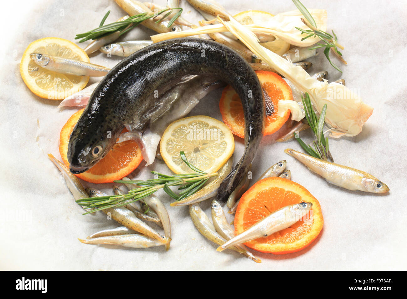 Fresh trout and anchovies on a parchment paper Stock Photo Alamy