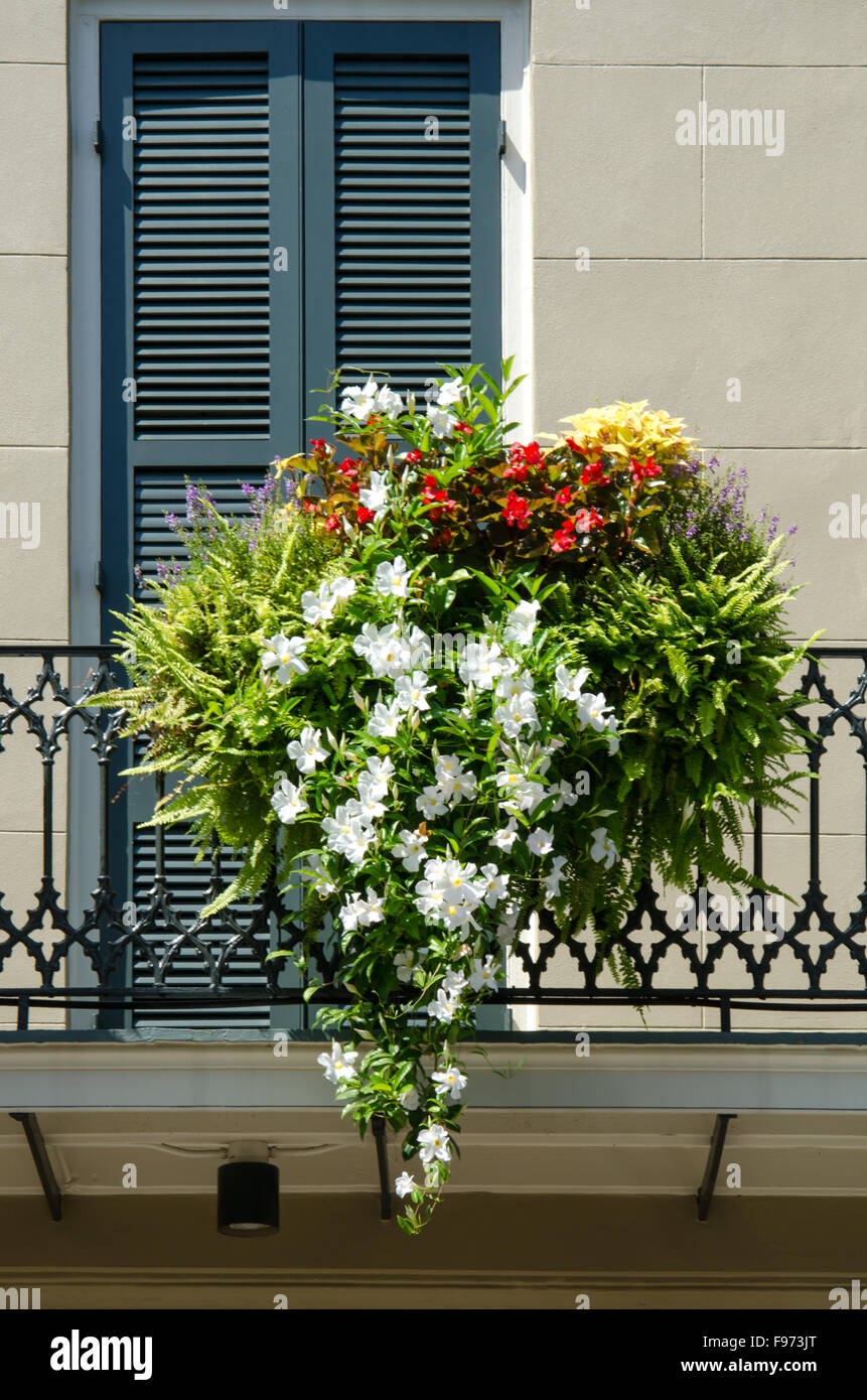 French balcony flowers hires stock photography and images Alamy