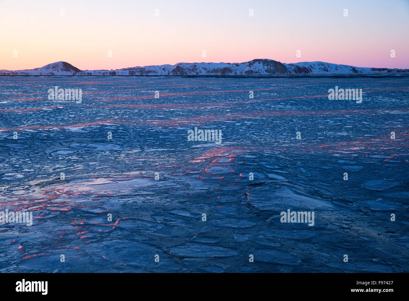 Pancake ice at sunset, Gulf of St. Lawrence, near Îles de la Madeleine (Magdalen Islands), Quebec, Canada. Stock Photo