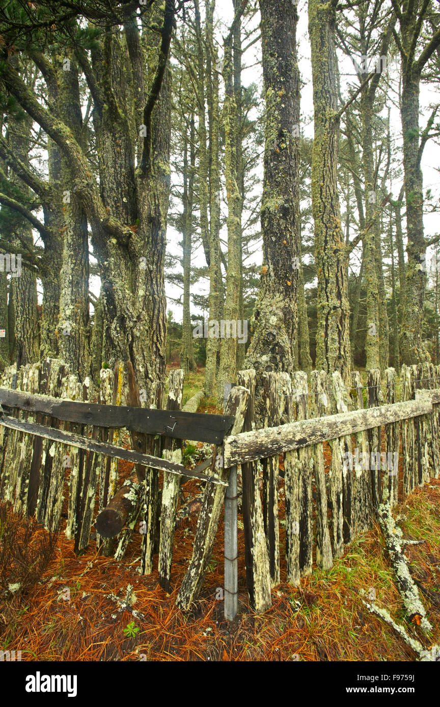 Surrounds hires stock photography and images Alamy