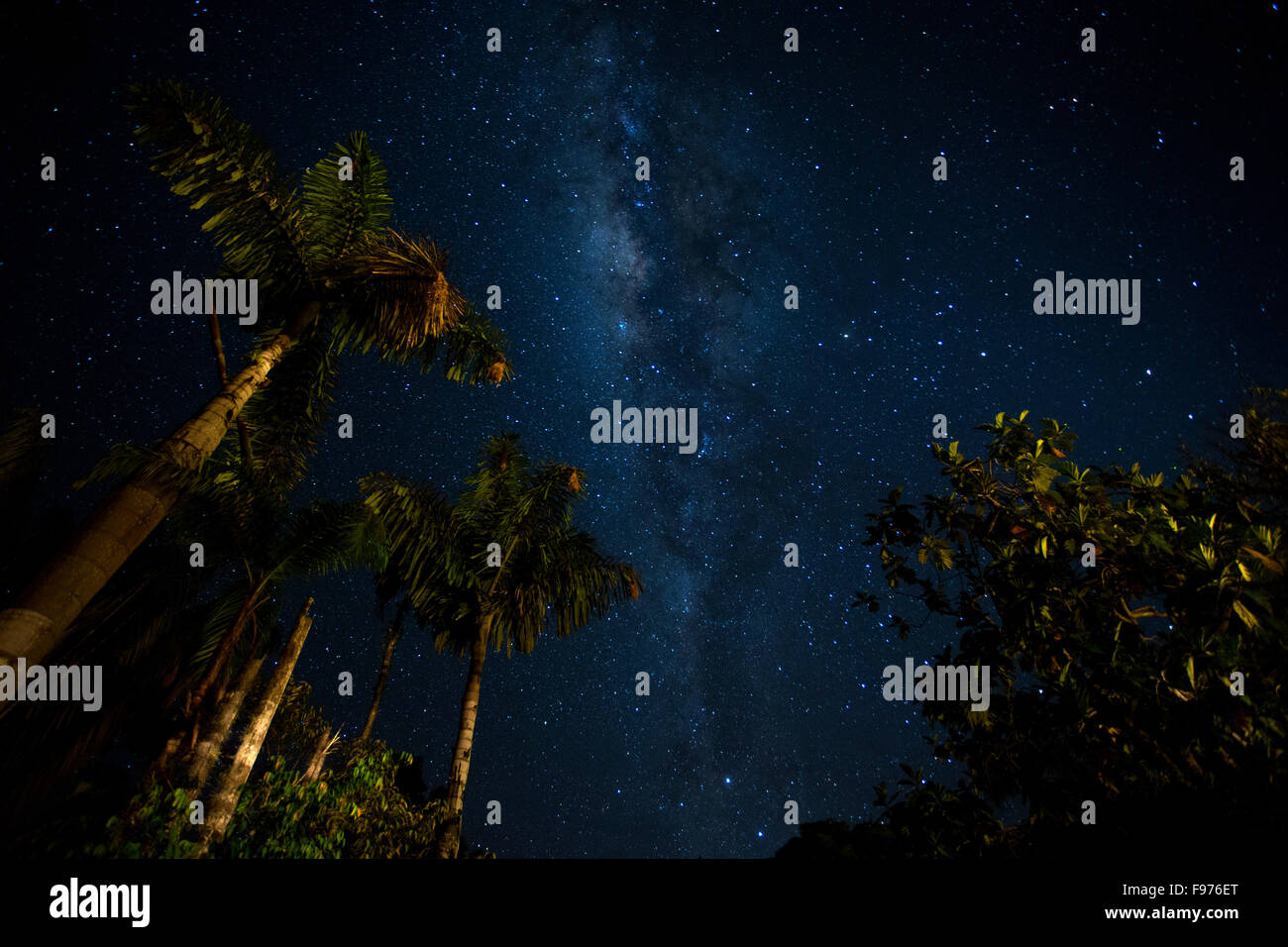 The night sky in amazonian Peru Stock Photo