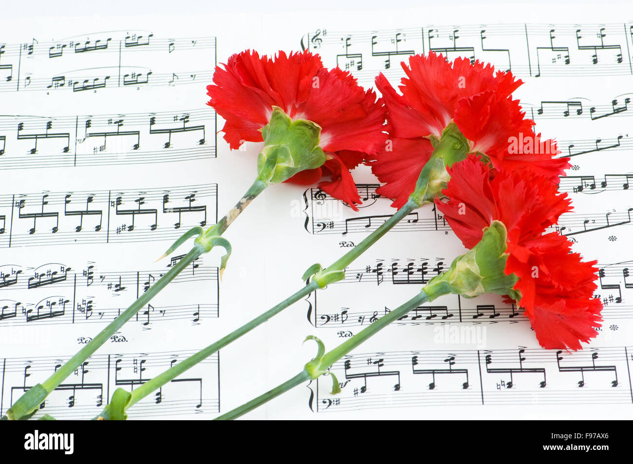 Обложка журнала огонек 1 мая. Красная гвоздика песня. Нотки гвоздики. Песня гвоздики. Песня гвоздики.