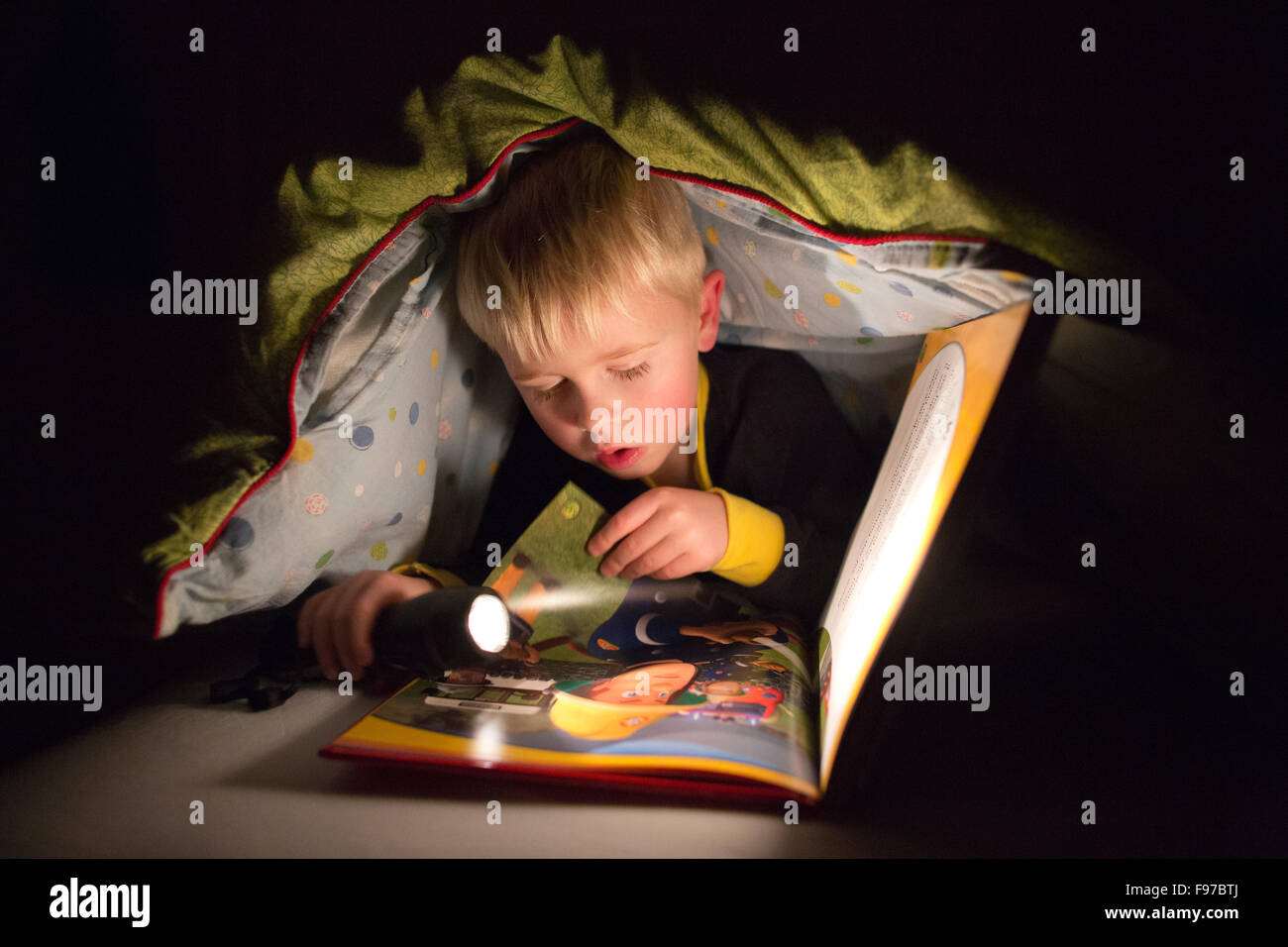 Boys reading light 2025