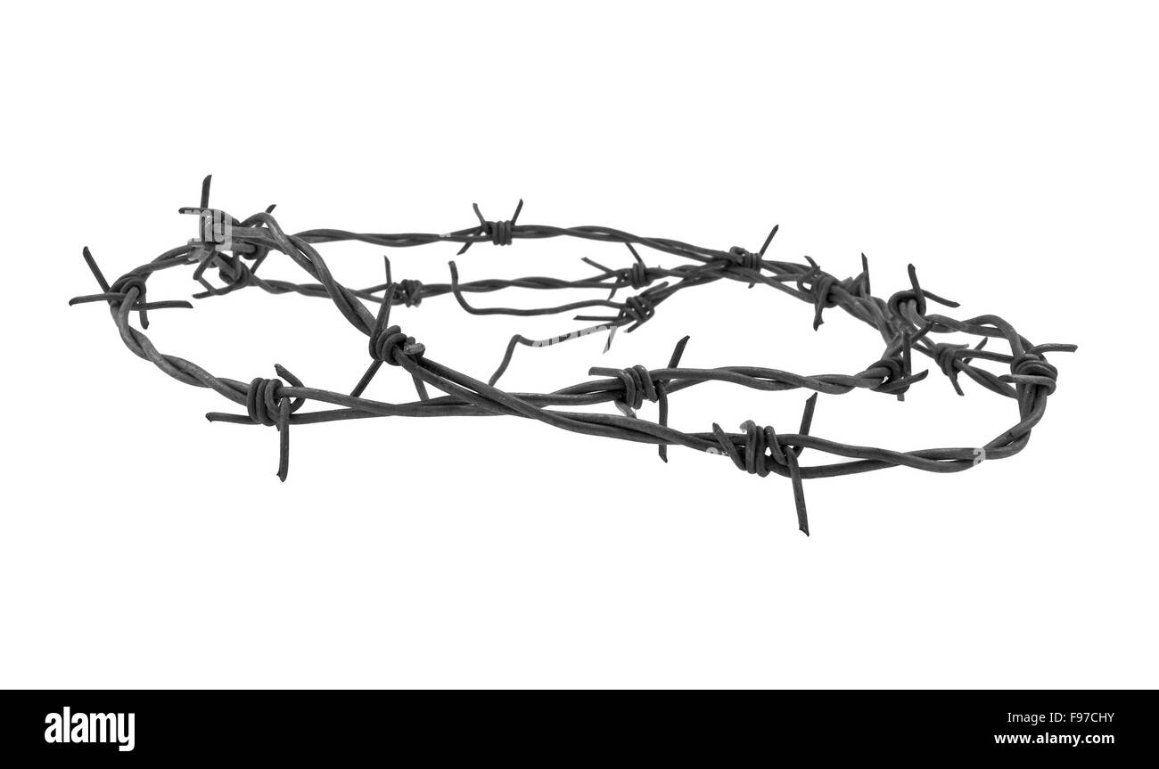 Barbed wire isolated on white background Stock Photo