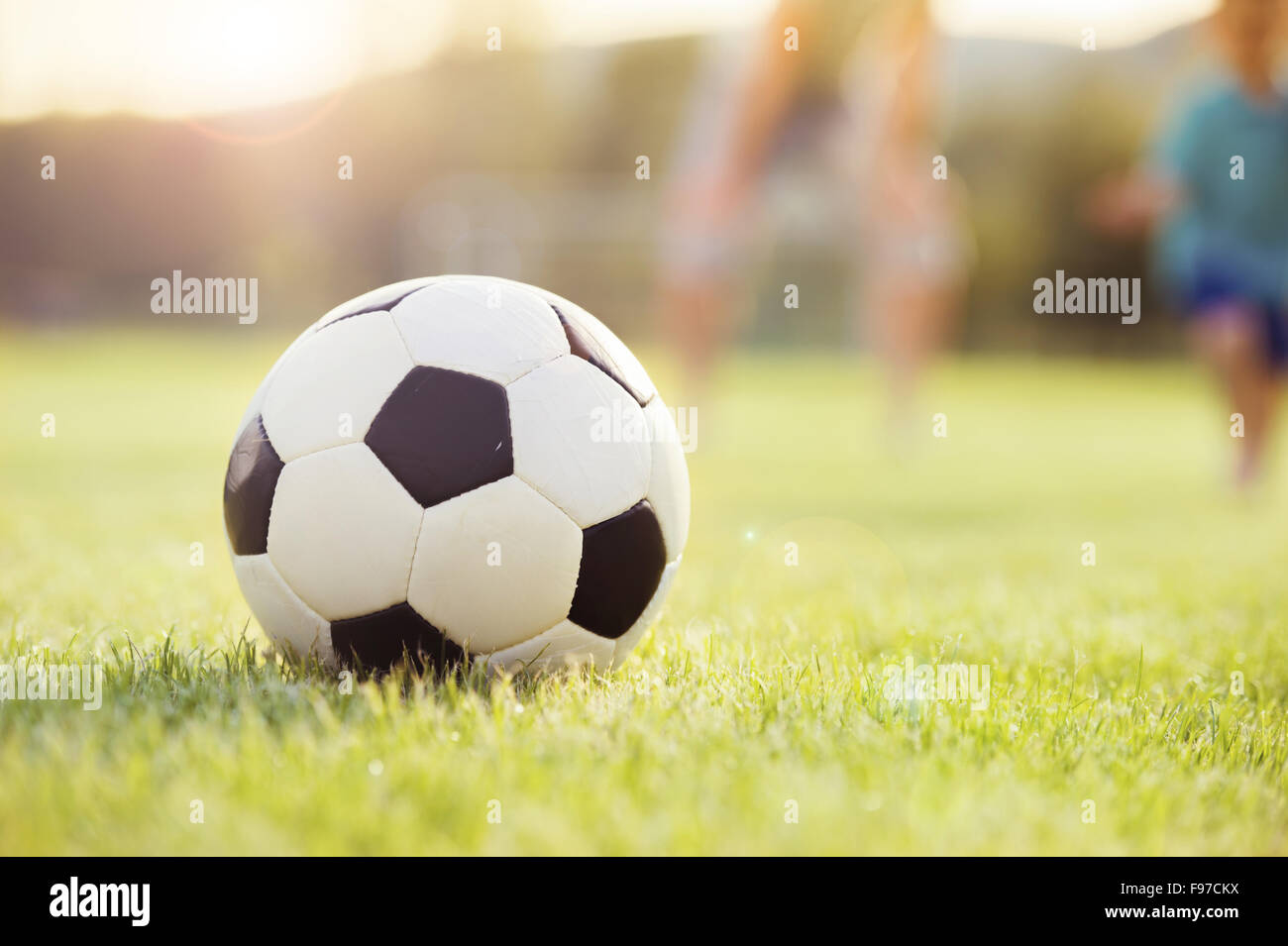 Closeup of soccer ball on grass lawn Stock Photo Alamy