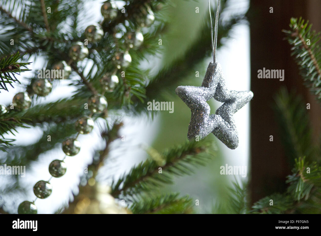 Christmas, silver star on christmas tree branch, lights hanging in a tree Stock Photo Alamy