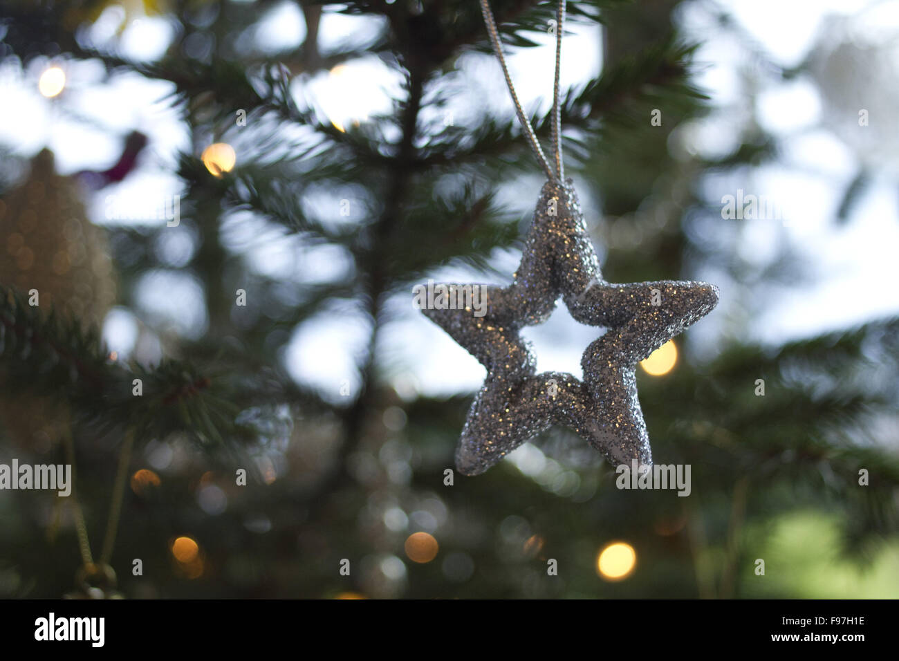 Christmas, silver star on christmas tree branch, lights hanging in a tree Stock Photo Alamy