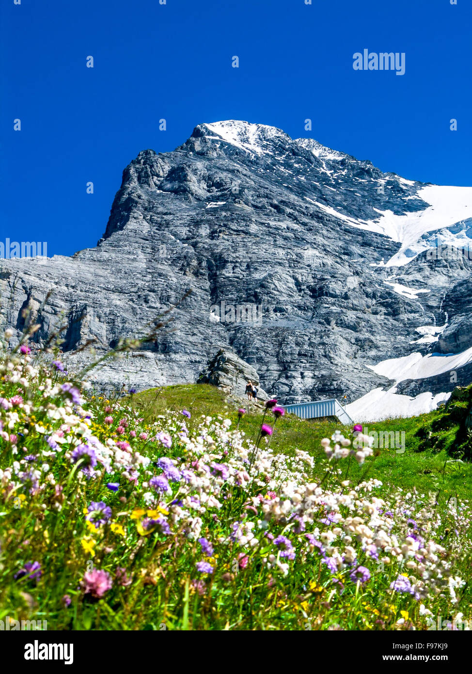 Eiger, Switzerland. One of amazing mountain peaks in Berner Oberland part of European Alps, main landmark of Swiss Confederation Stock Photo