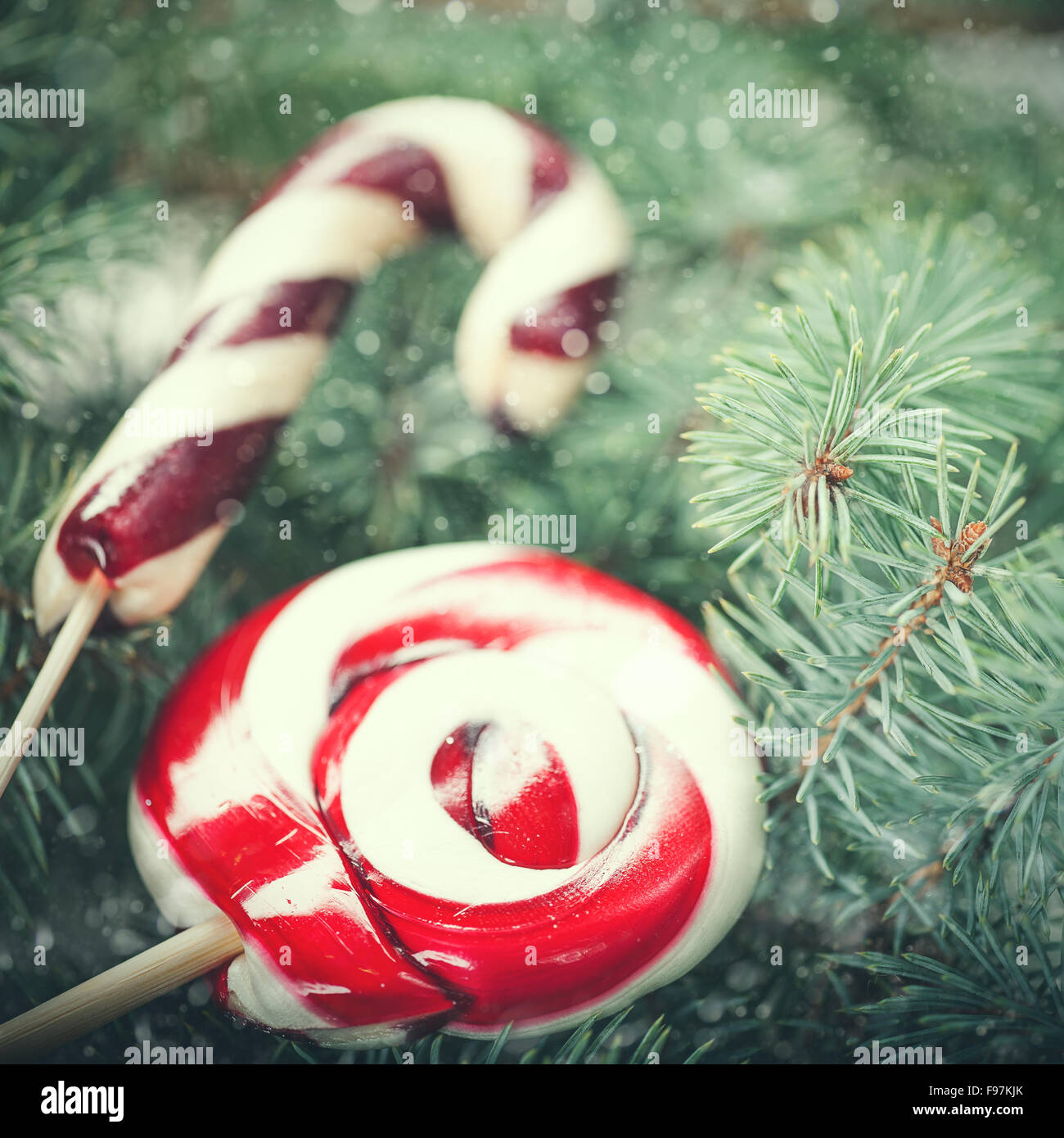 Beauty Xmas backgrounds with red striped lollipop over fir tree Stock