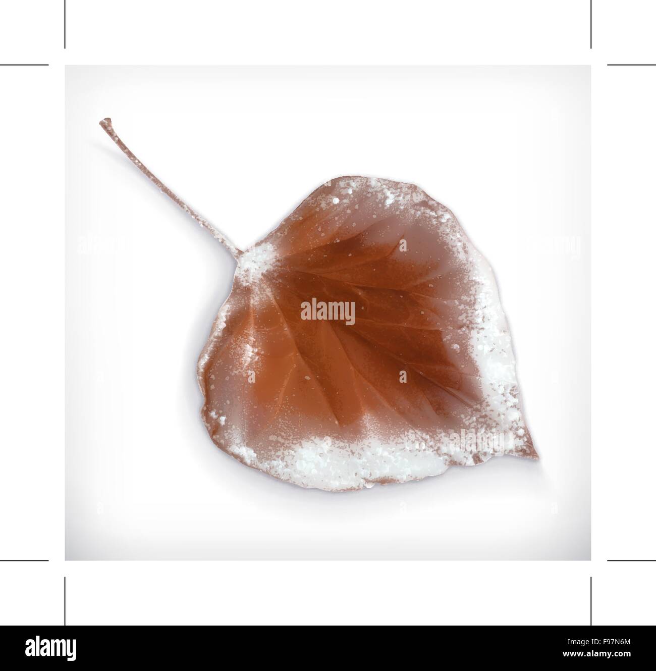 Winter forest snow fall Cut Out Stock Images &amp; Pictures - Alamy