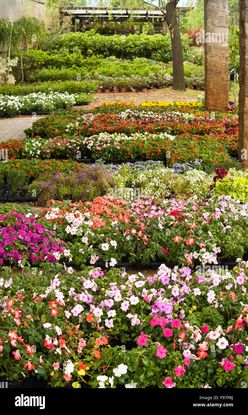 group of flowers from a florist Stock Photo Alamy