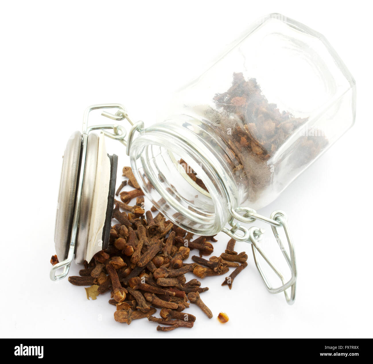 carnation in the bottle isolated Stock Photo Alamy