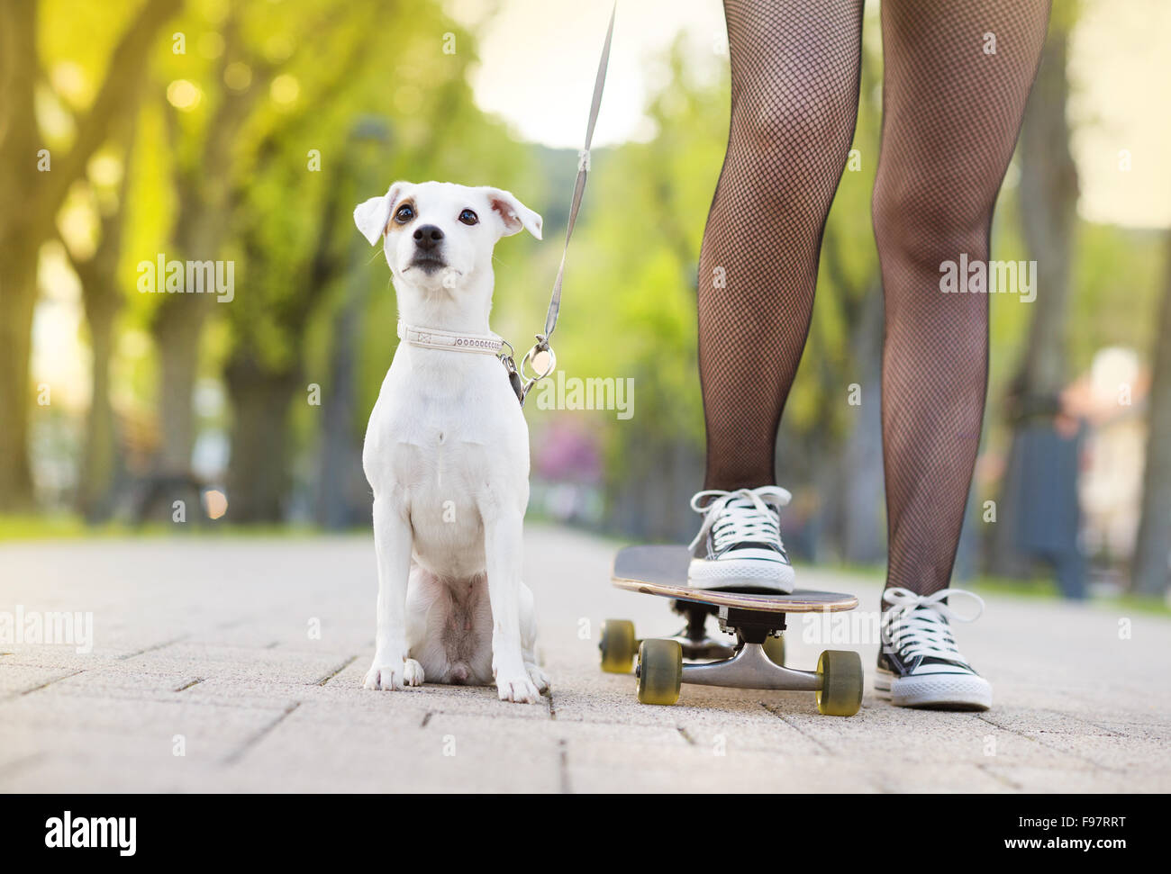 Close-up of legs of teenage girl on skateboard with her dog Stock Photo