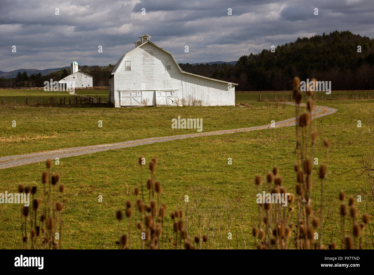 Green Bank, West Virginia - Barns on a farm in rural Pocahontas County. Stock Photo