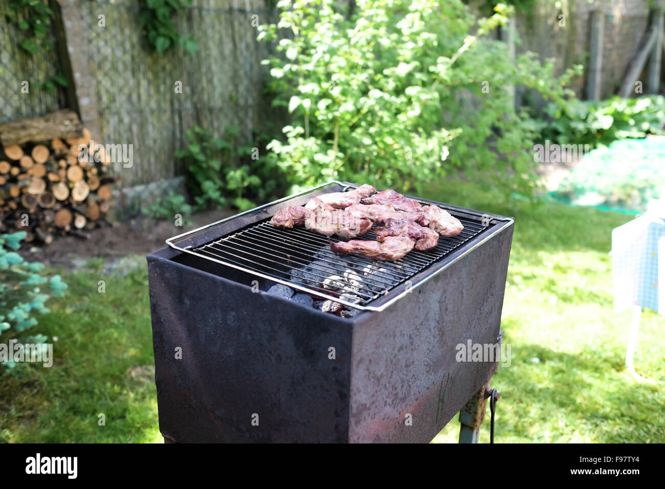 Meat On Grill In Backyard Stock Photo - Alamy