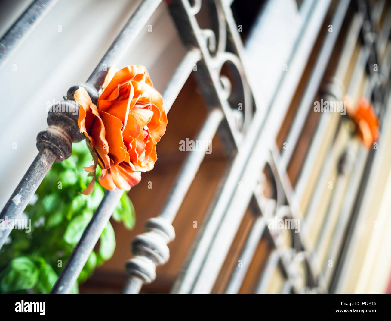 roses on the bars prison. concept of expiation of guilt Stock Photo