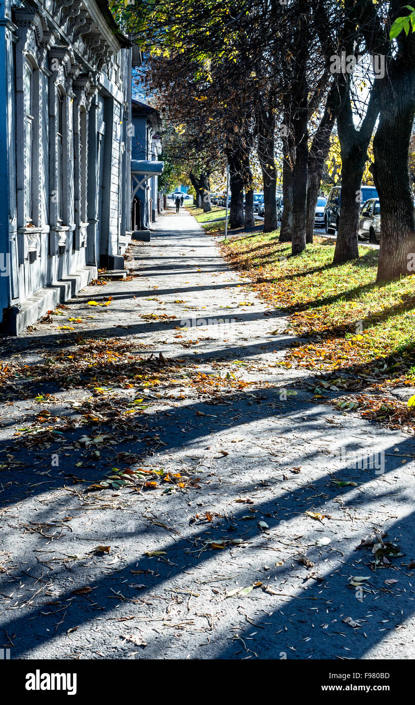 Path Background Diagonal Autumn Footpath with diagonal tree shadows and loose leaves covering ...