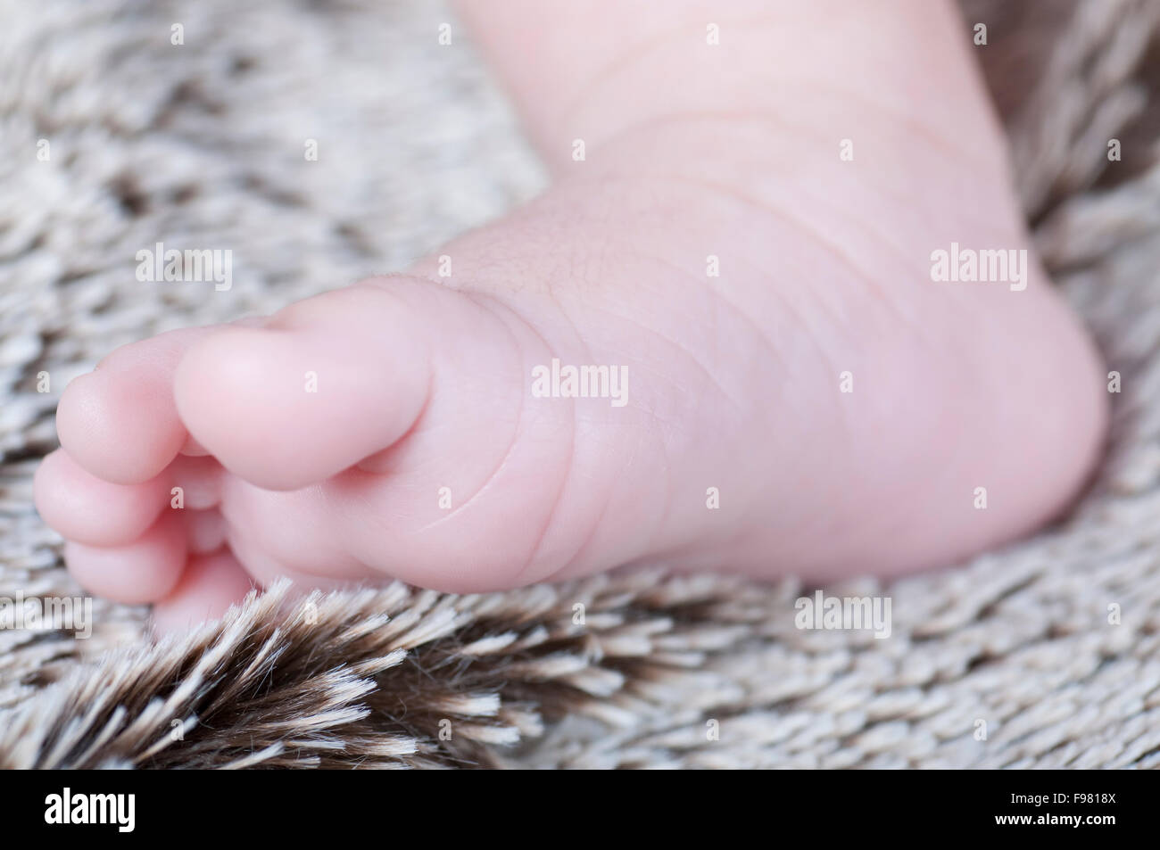 New born foot Stock Photo - Alamy