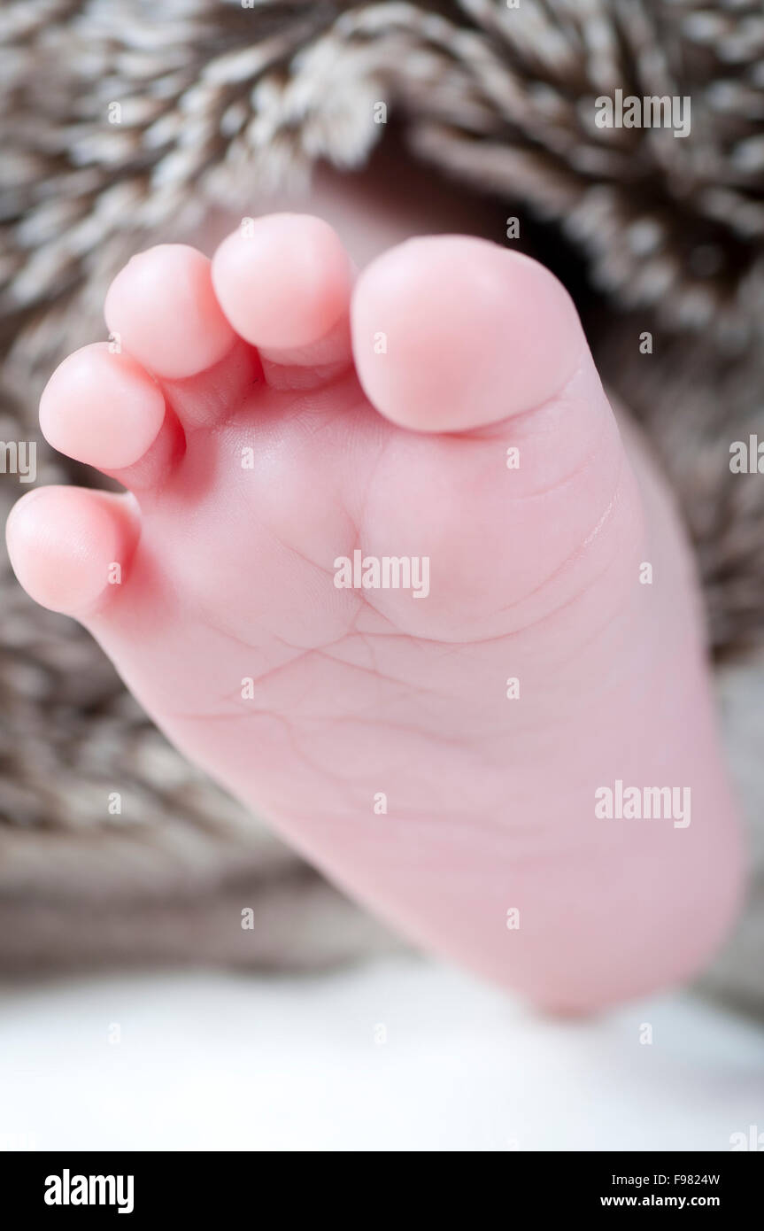 New born foot Stock Photo Alamy