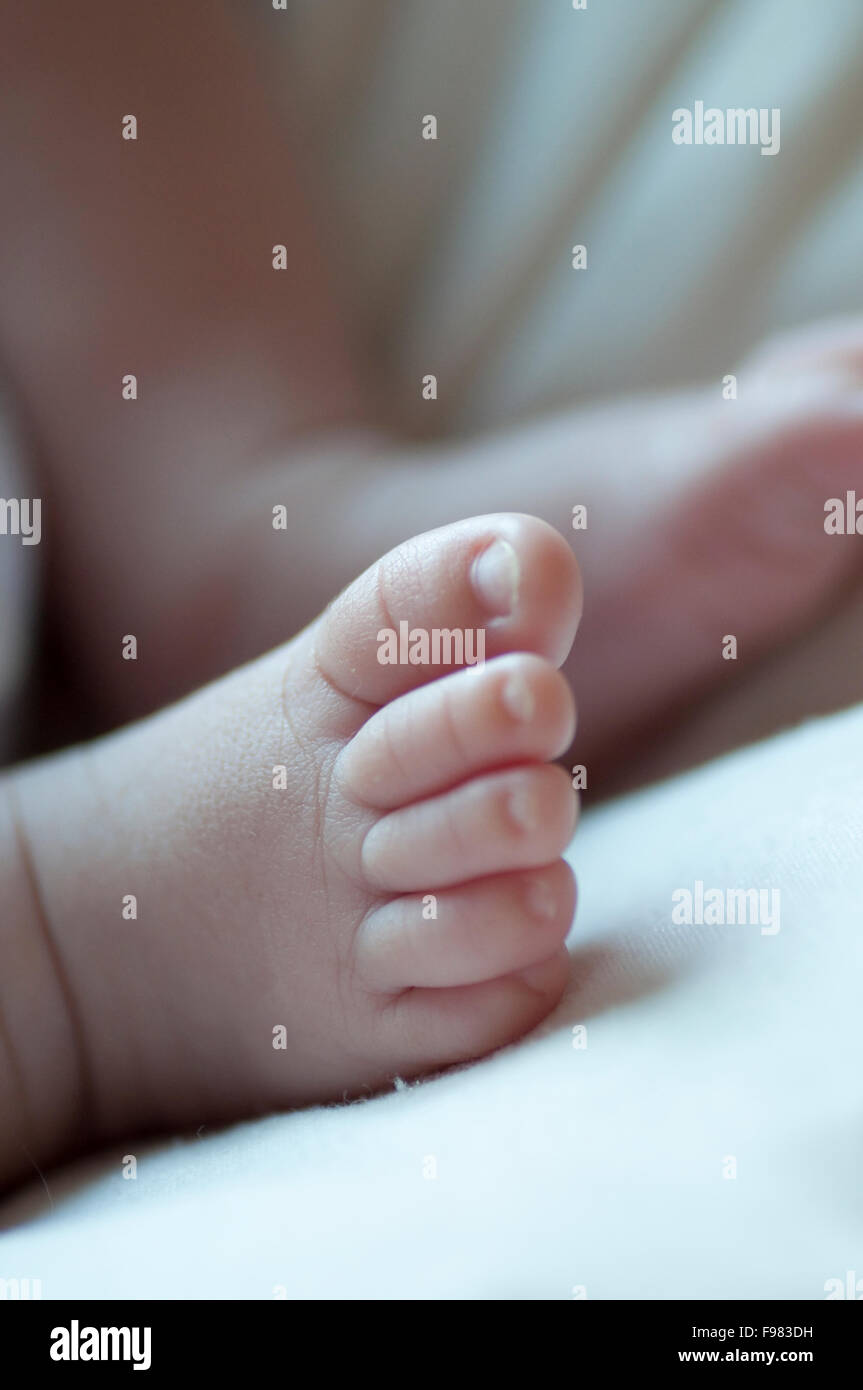 New born foot Stock Photo Alamy
