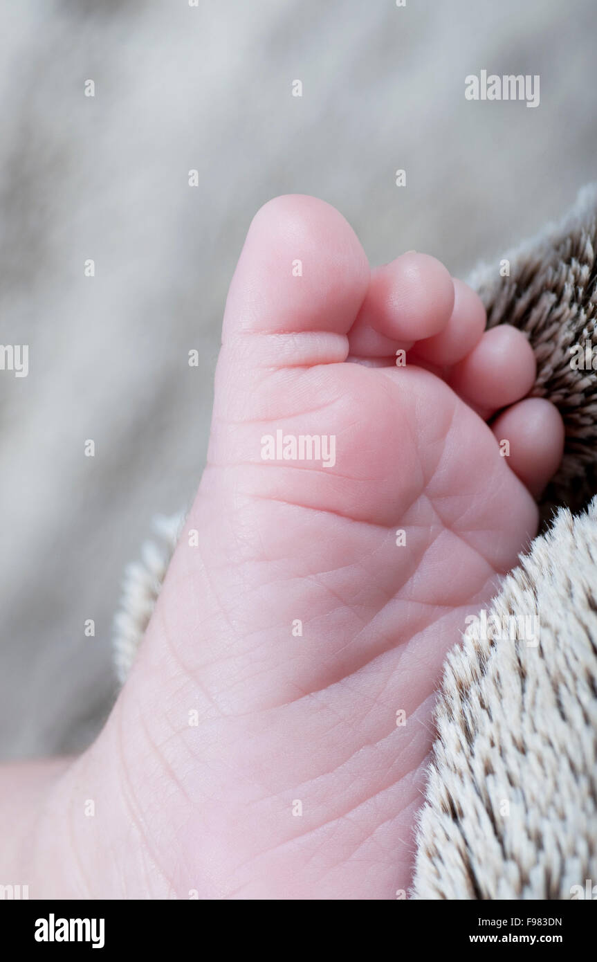 New born foot Stock Photo - Alamy