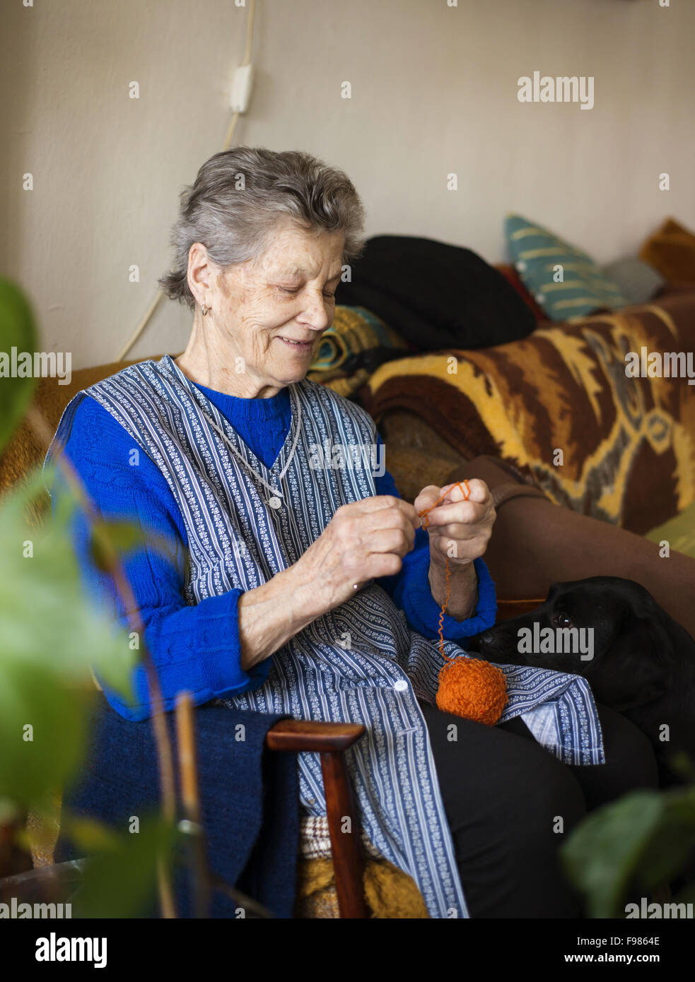Portrait of senior woman sitting in armchair and knitting at home Stock ...