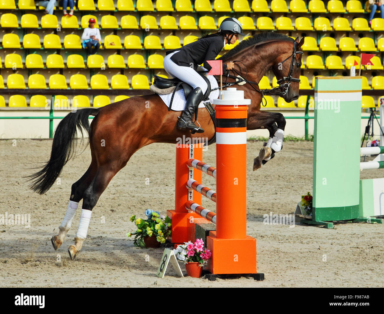 Female jockey riding a horse and jumping over the hurdle Stock Photo